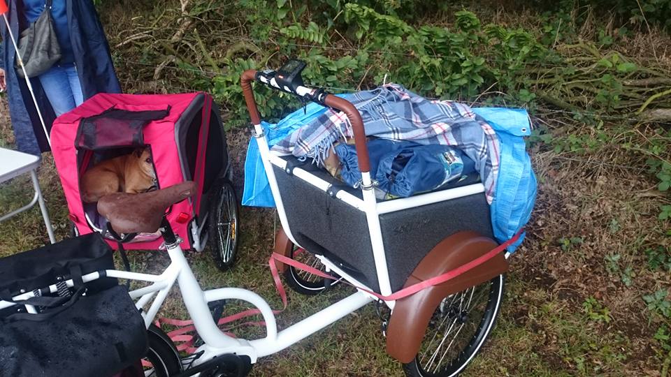met SociBike op fietsvakantie door Nederland