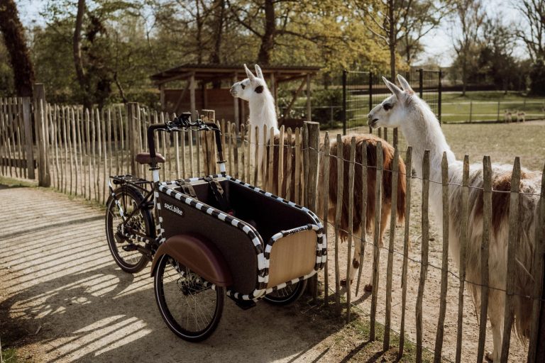 SociBike kunstfiets van Frank Willems nu leverbaar