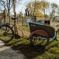 // Custom Soci-Bikes //