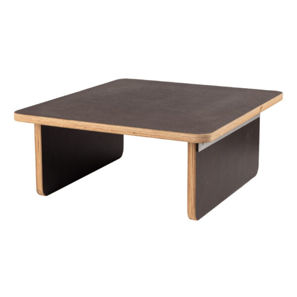 socibike-compact-hondenplateau-1 SociBike Compact hondenplateau