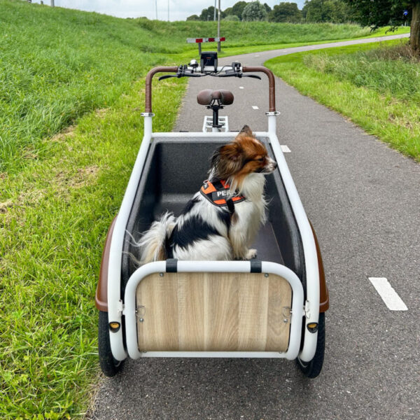 socibike-compact-hondenplateau-3 SociBike Compact hondenplateau met hond erop