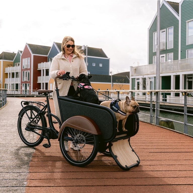 Eerste keer mee op stap: zo went jouw hond aan SociBike