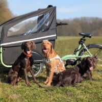SociBike Family met huif en drie honden