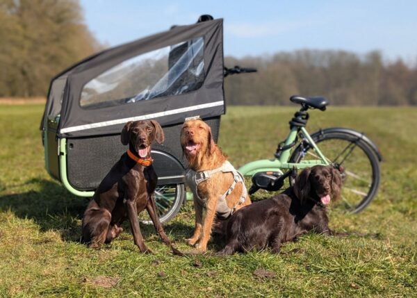 SociBike Family huif 3 SociBike Family met huif en drie honden
